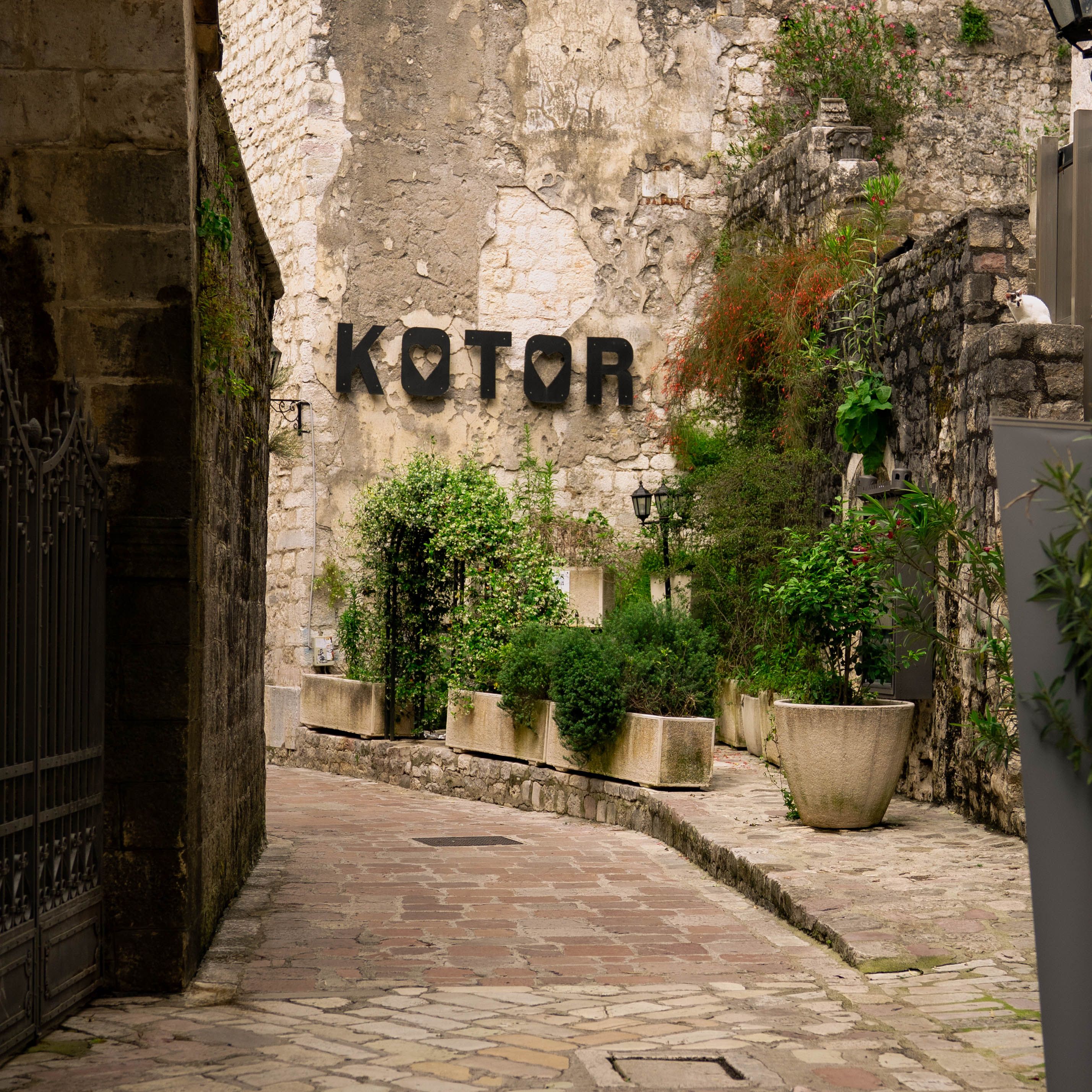 old town of montenengro