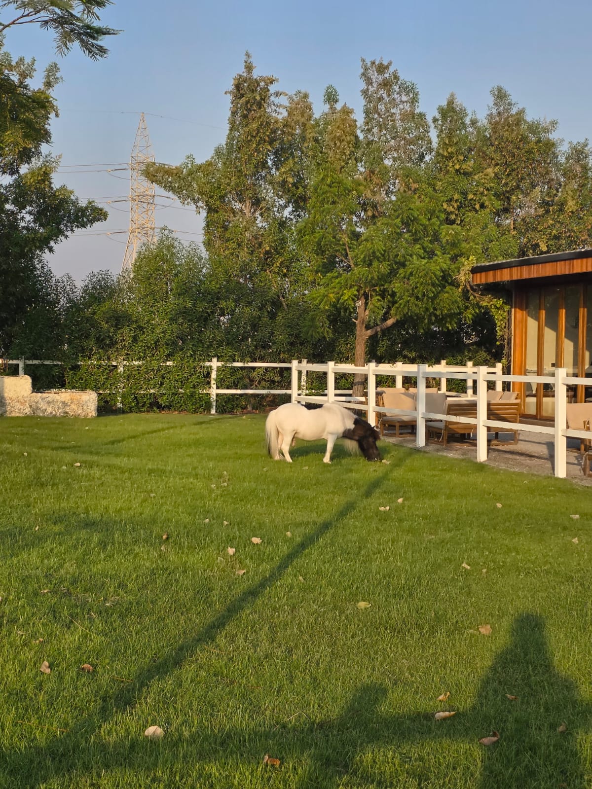 Pony ride in north cafe rak